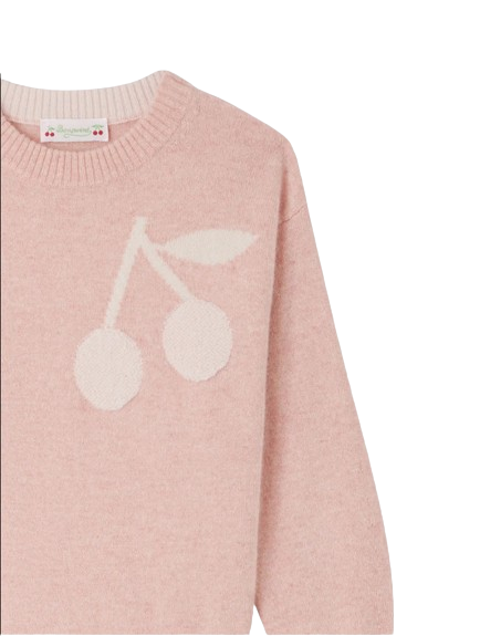 Maglia Anumati in cashmere rosa