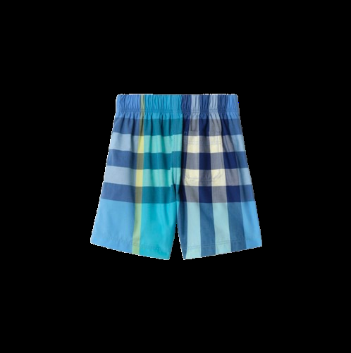 8120388 C4230 BURBERRY