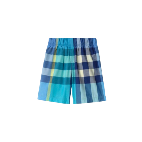 8120388 C4230 BURBERRY