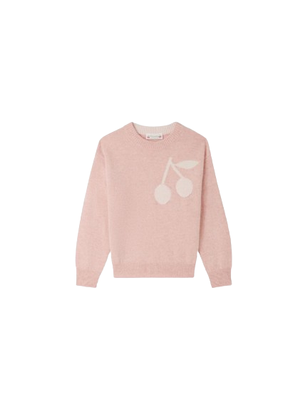 Maglia Anumati in cashmere rosa