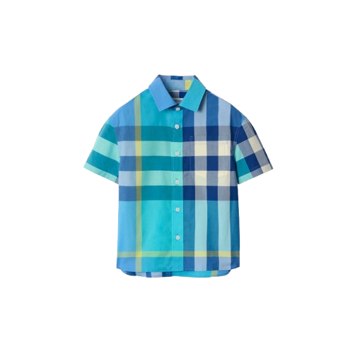 8117796 C4230 BURBERRY