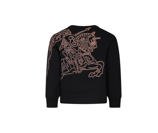 Maglione per bambini 8091028 A1189 BURBERRY