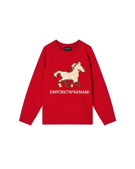 Felpa con ricamo a forma di cavallo EB000915 AF10126 U5067 ARMANI JUNIOR
