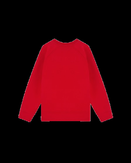 Felpa con ricamo a forma di cavallo EB000915 AF10126 U5067 ARMANI JUNIOR