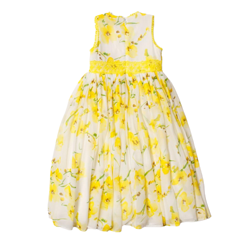 MISS BLUMARINE 40 7 AB6100888