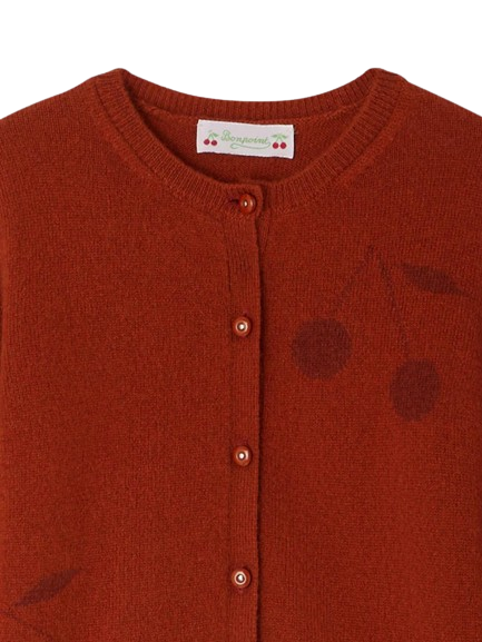 Cardigan in cashmere zenzero