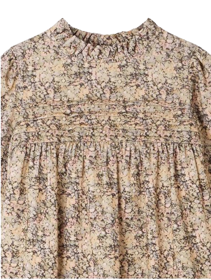 Topaz floral print dress