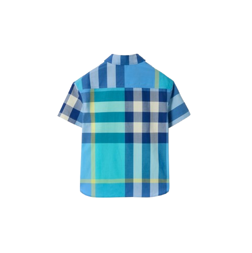  8117796 C4230 BURBERRY 