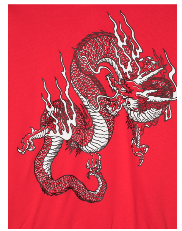 OVER FIT HOODIE W/3D DRAGON PRINT BV4Q40 Z1753 414 BALMAIN 