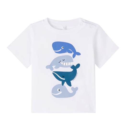  TY8570 Z0434 100 STELLA McCARTNEY 