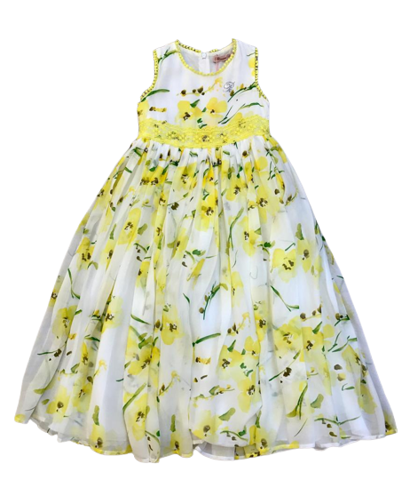 MISS BLUMARINE 40 7 AB6100888